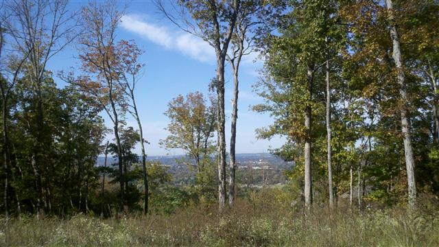 Hawks Ridge views of city
