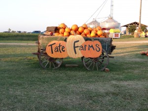 Pumpkin Cart